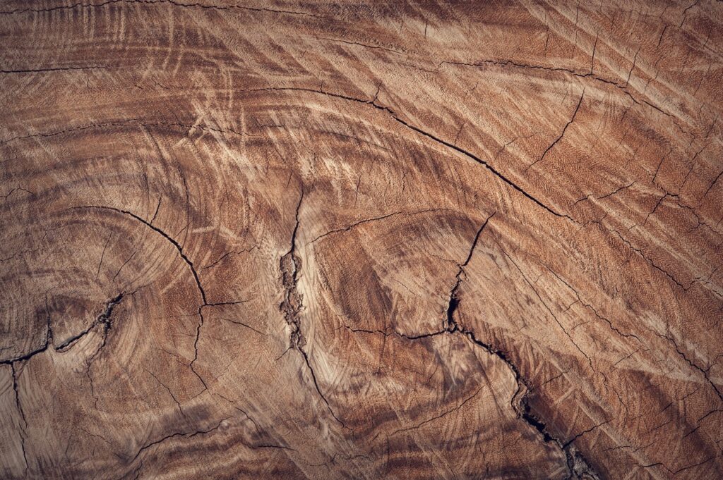 Wood texture