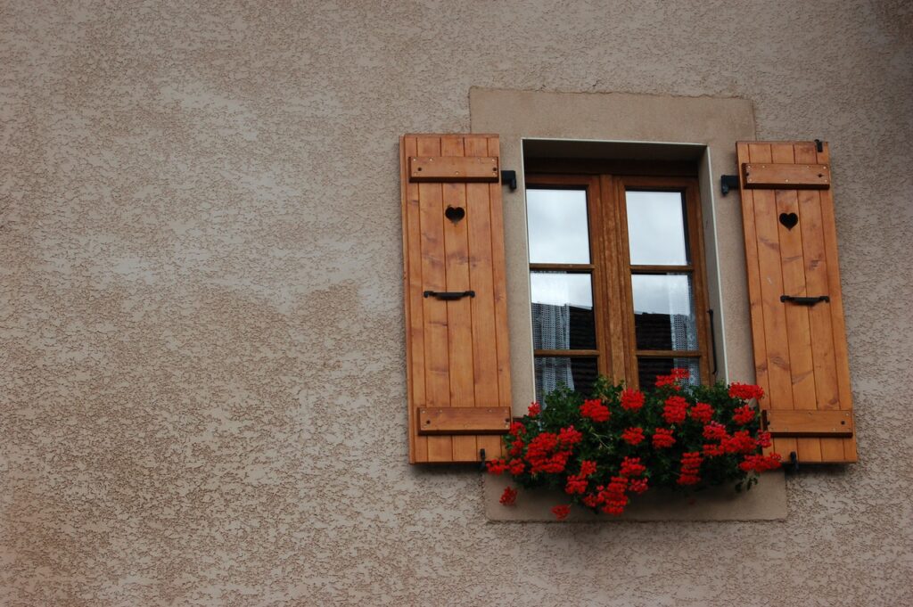 red flower and window